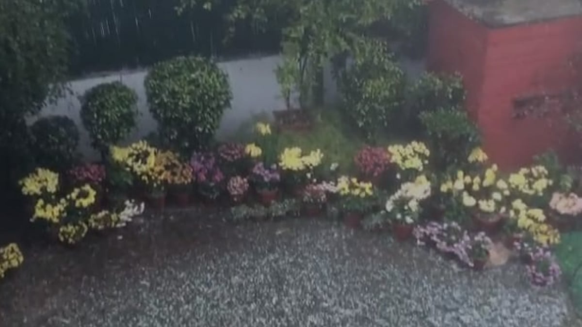 Rain, hailstorm lash parts of Delhi