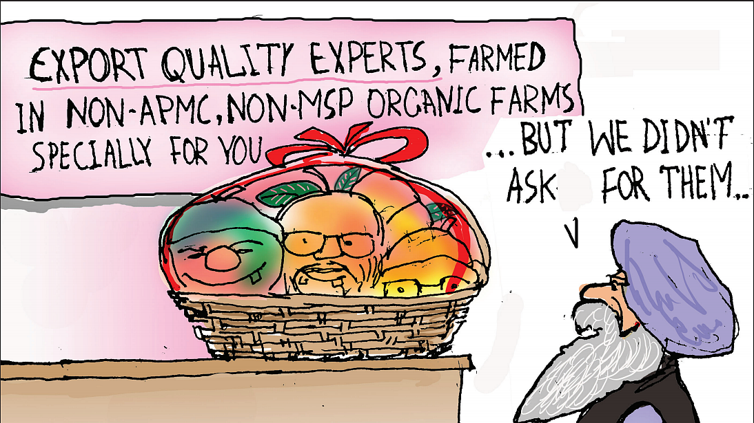 Supreme Court gives government a breather: no hearing on farm laws for two months