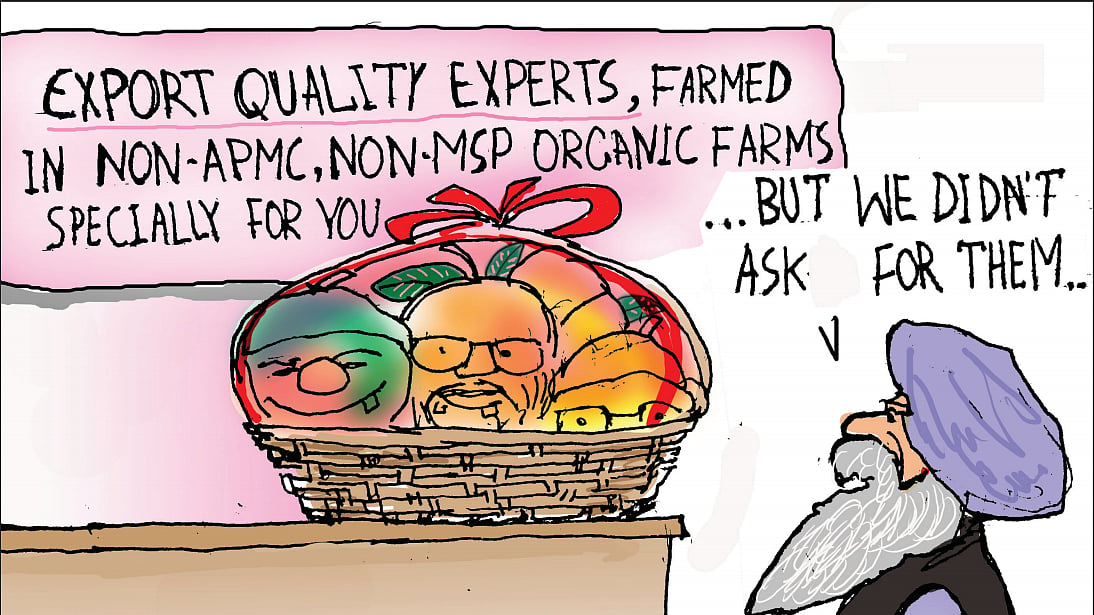 Supreme Court gives government a breather: no hearing on farm laws for two months