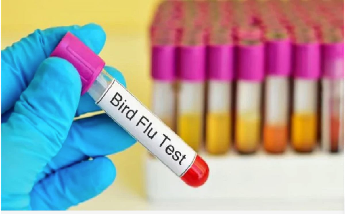 Bird flu: States on alert; Haryana reports over 4 lakh poultry deaths in 10 days, Kerala culls chickens, ducks