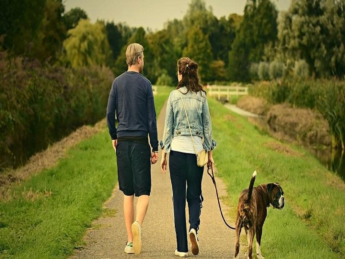 Just became pet parents? Read on to learn how to get it right  