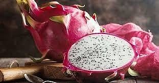 Gujarat govt renames ‘dragon fruit’ as kamalam