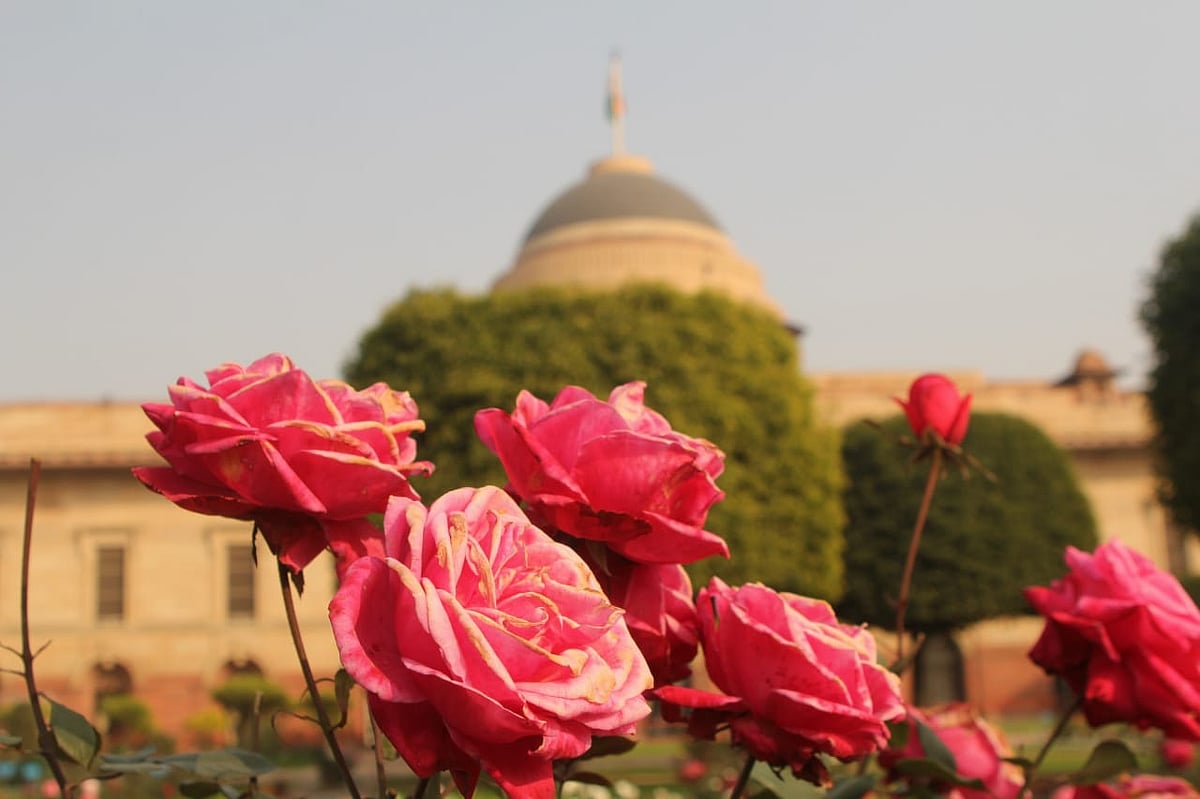 NH photo by Vipin