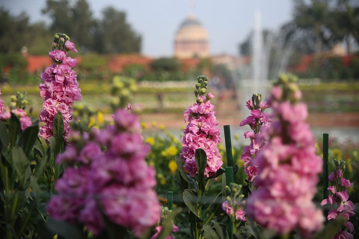 NH photo by Vipin