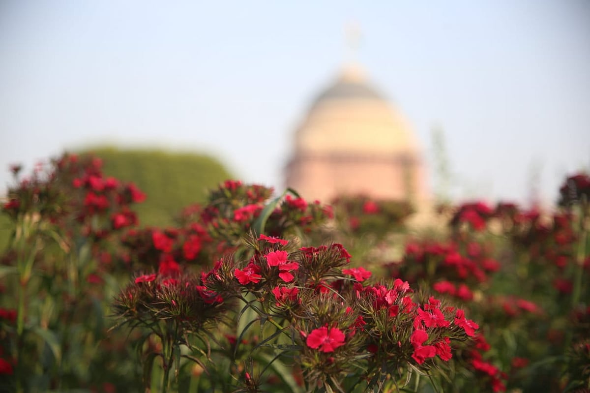 NH photo by Vipin