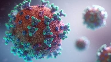Novel Covid variants spreading more in some states: CCMB study