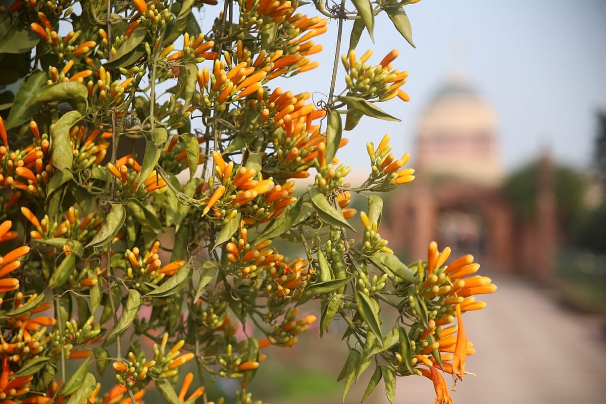 NH photo by Vipin