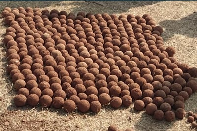 Maharashtra: 406 Chhatrapati-era cannonballs dug up in Pavangad Fort  
