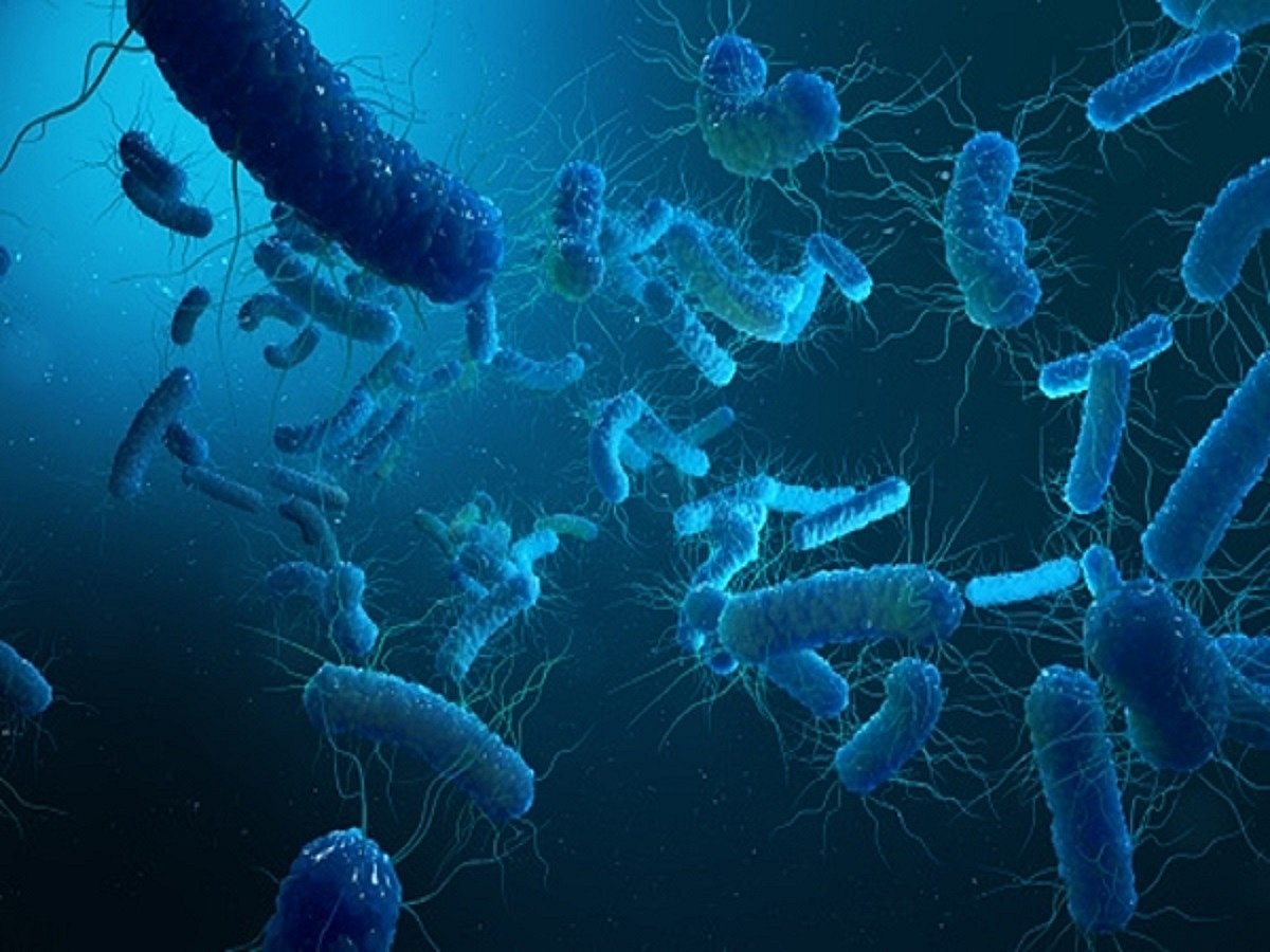 Are good bacteria getting viral infections?