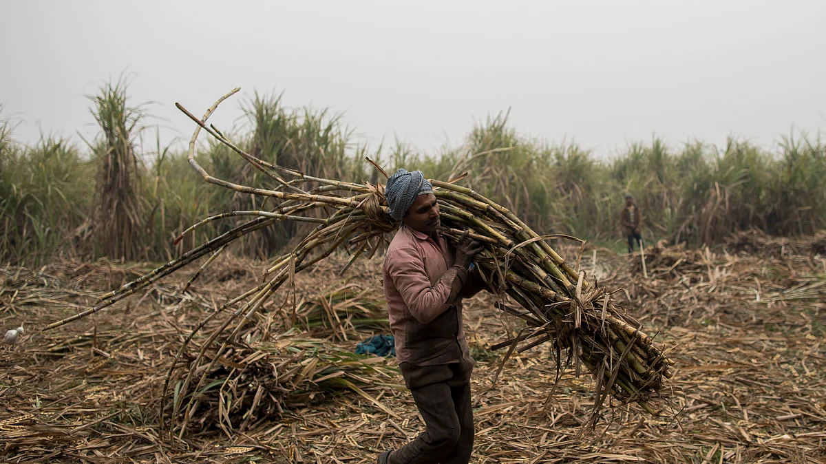 (Photo by Anindito Mukherjee/Getty Images)