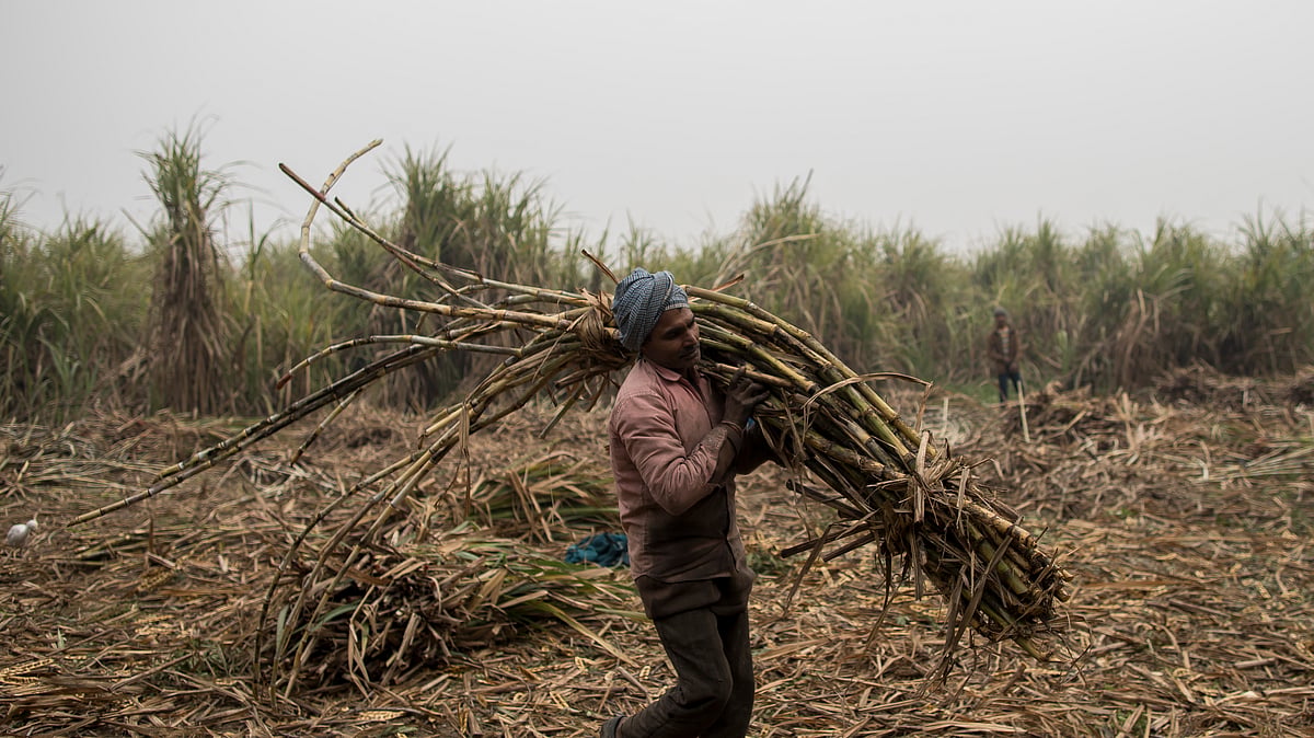 (Photo by Anindito Mukherjee/Getty Images)