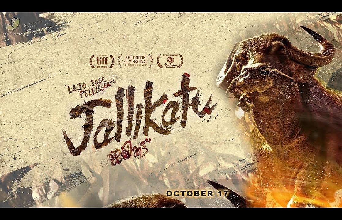 ‘Jallikattu’ fails to make the cut at Oscars