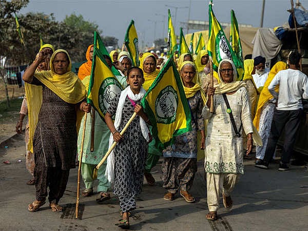 What does one make of prime time TV’s treatment of ‘Mumbai dhamaka’, women and cobras ?