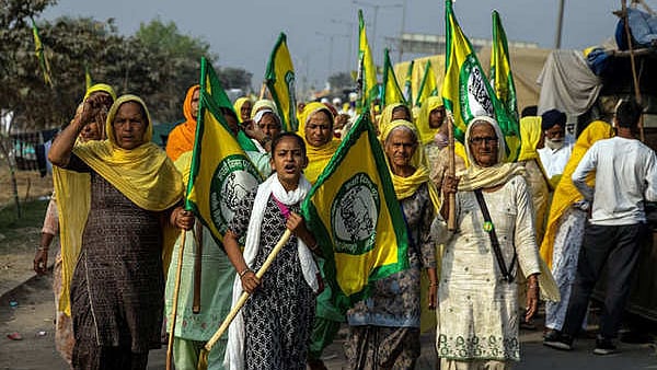 What does one make of prime time TV’s treatment of ‘Mumbai dhamaka’, women and cobras ?