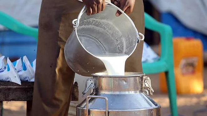 More dairy farmers stop milk supply in UP district