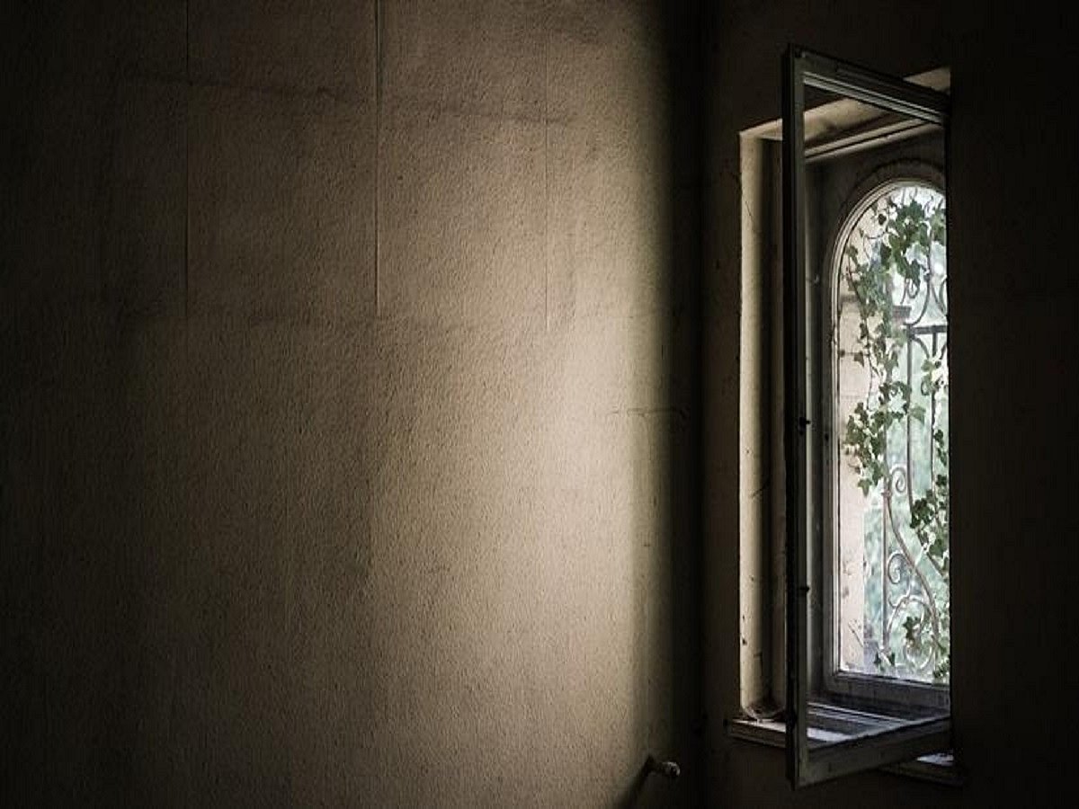 Interiors from a virus-free and pollution-free vantage  