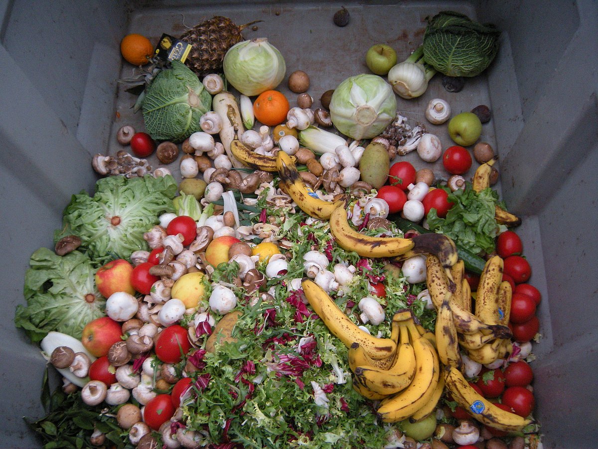 Estimated 931 million tonnes of food wasted globally in 2019; India’s share 68 million: UN report