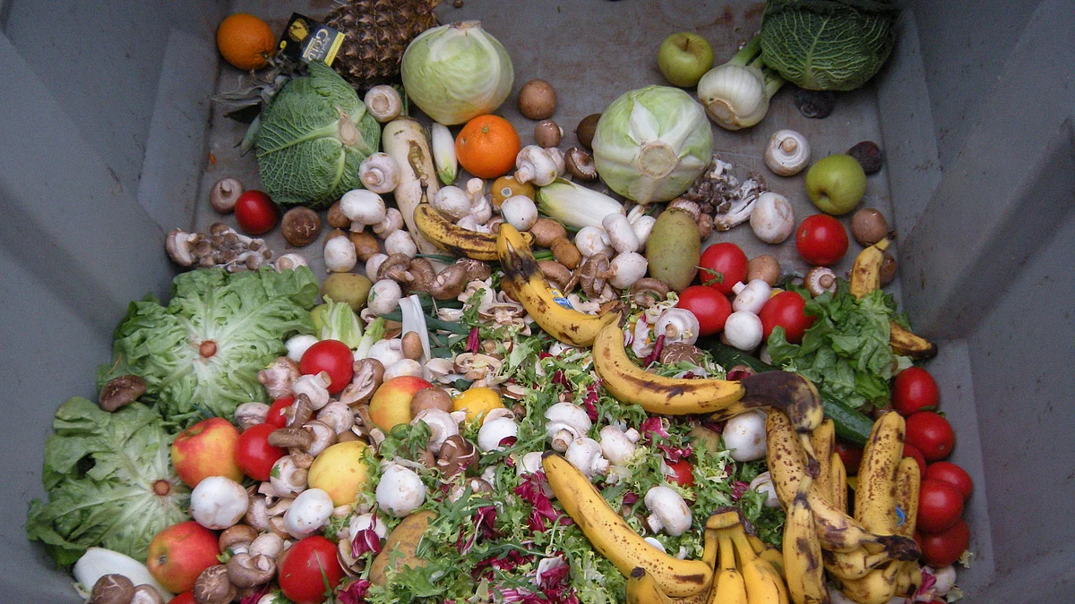 Estimated 931 million tonnes of food wasted globally in 2019; India’s share 68 million: UN report