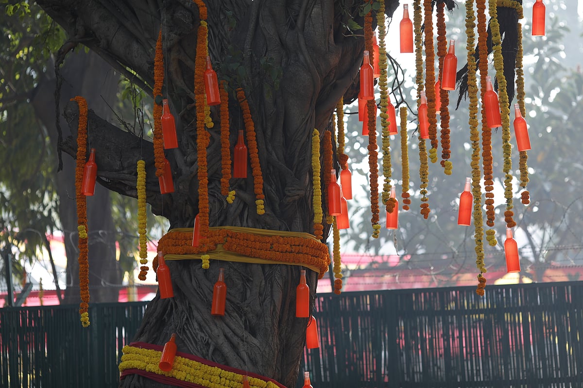 Inspiring! Big fat Indian marriage gets a facelift with eco-friendly wedding in Delhi