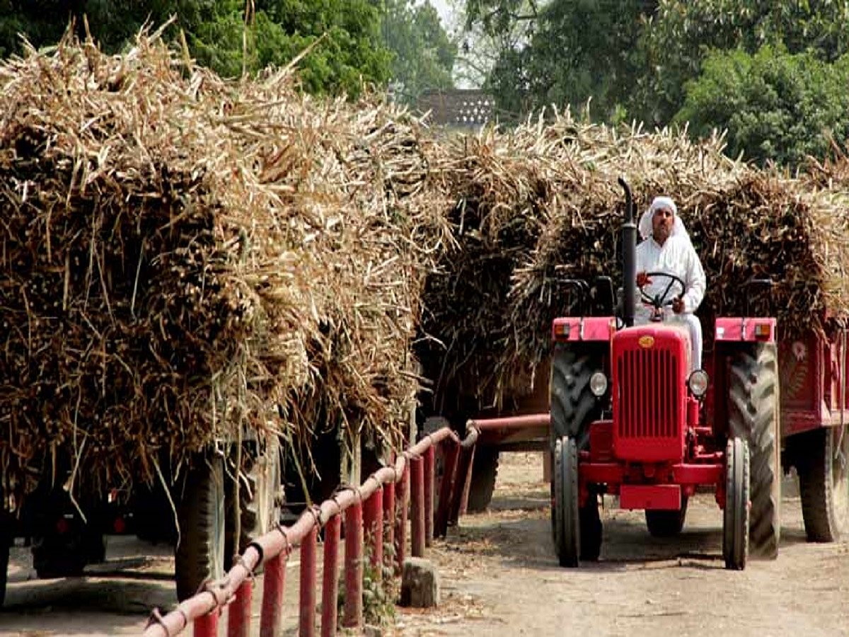 From farms to mills, it’s a long wait for Western UP farmers just to get sugarcane weighed  