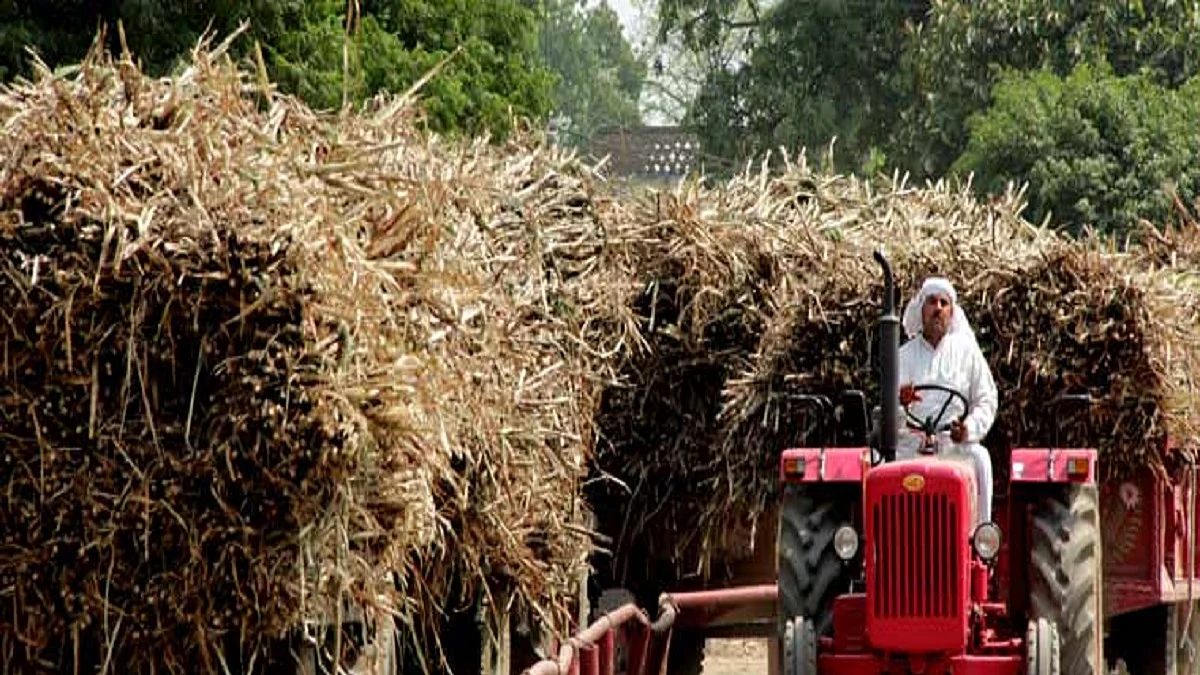 Representative Image (Photo Courtesy: Social Media)