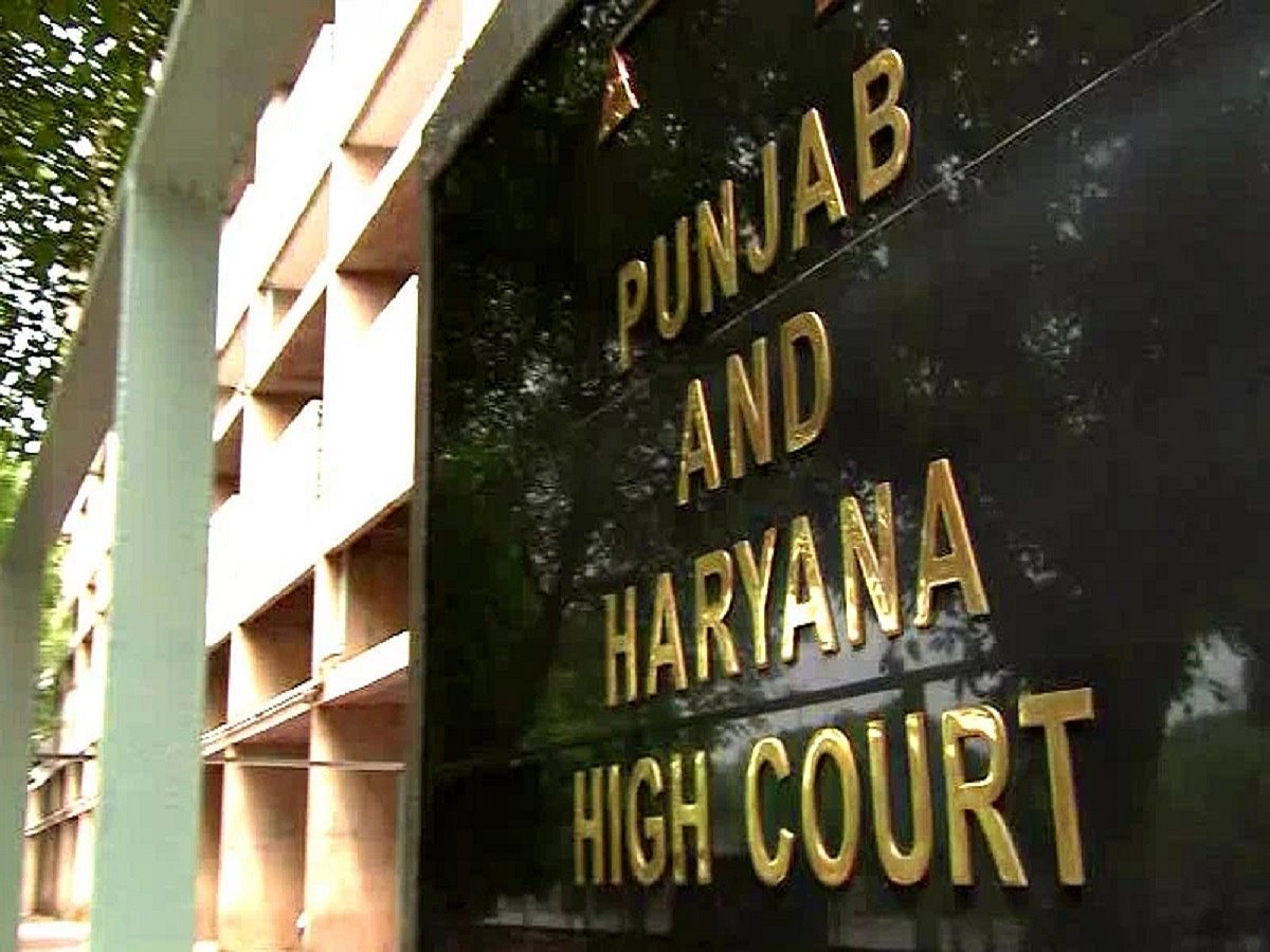  Safe houses be made available in Punjab, Haryana for couples marrying against family’s wishes, suggests HC