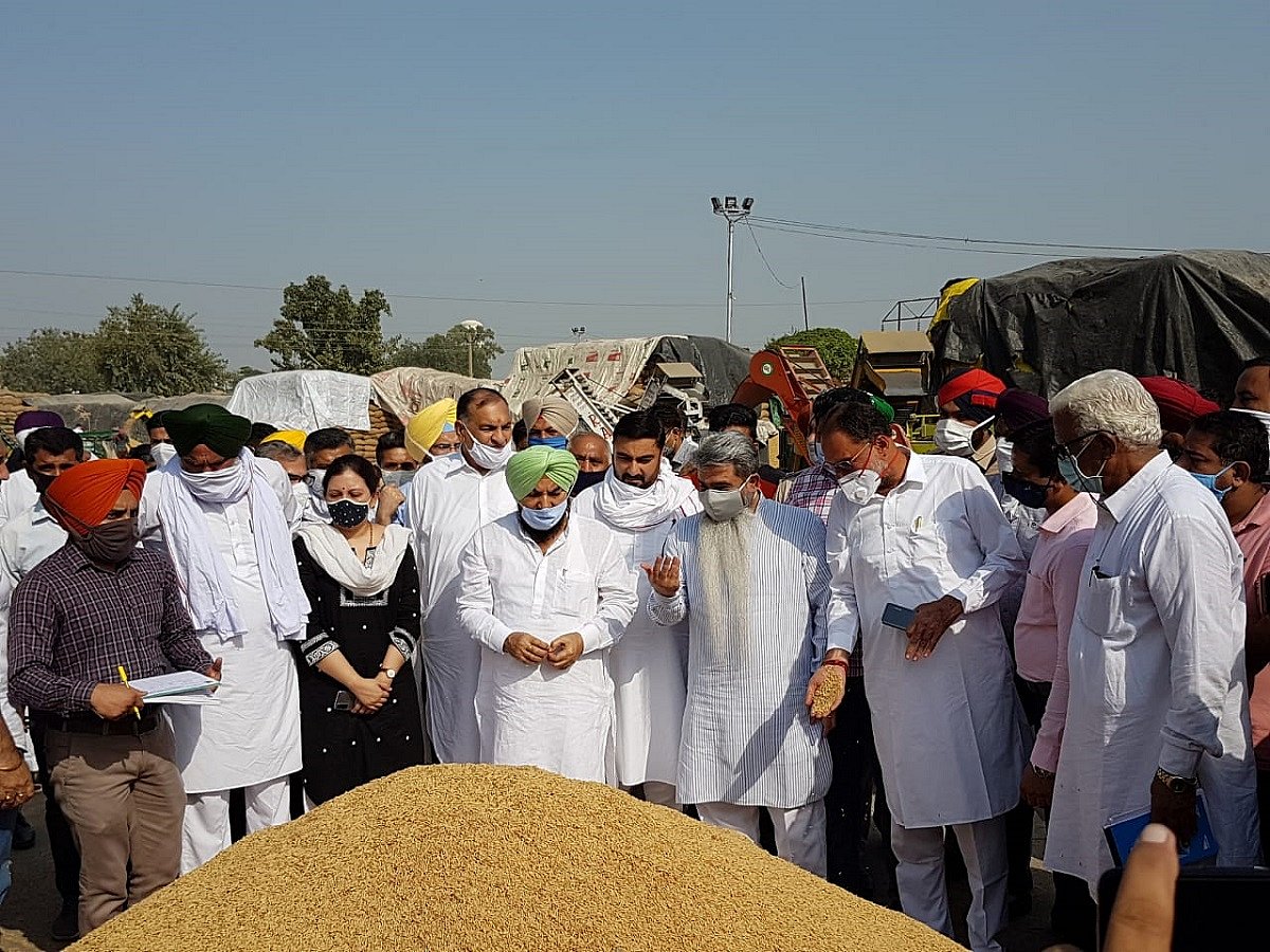 Rajpura MLA Hardial Singh Kamboj, Patiala Deputy Commissioner Kumar Amit visit Rajpura Grain Market 