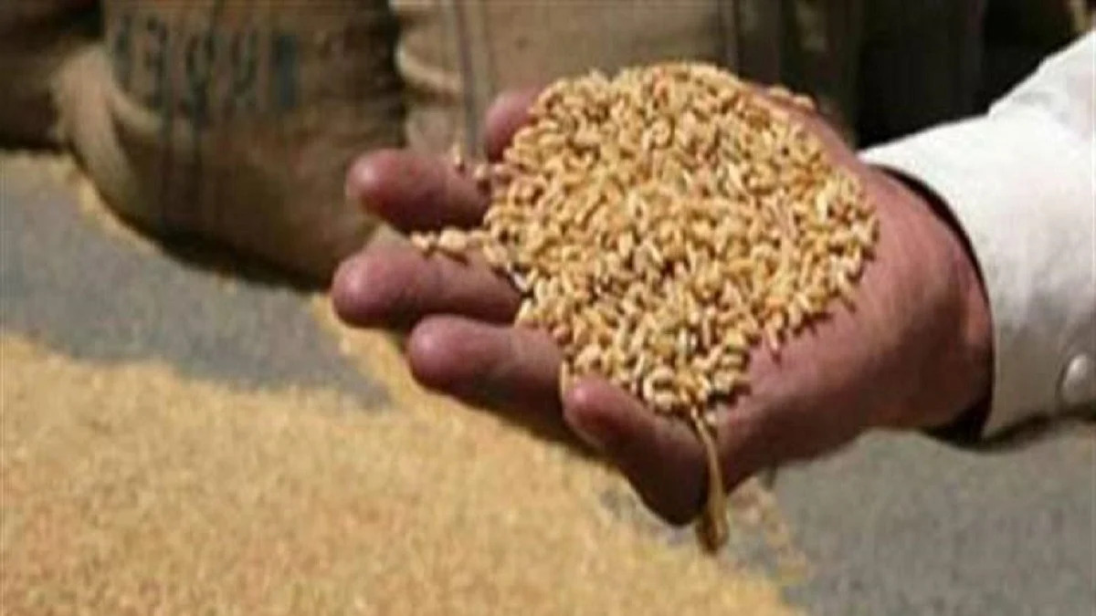 Representative Image (Photo Courtesy: Social Media)