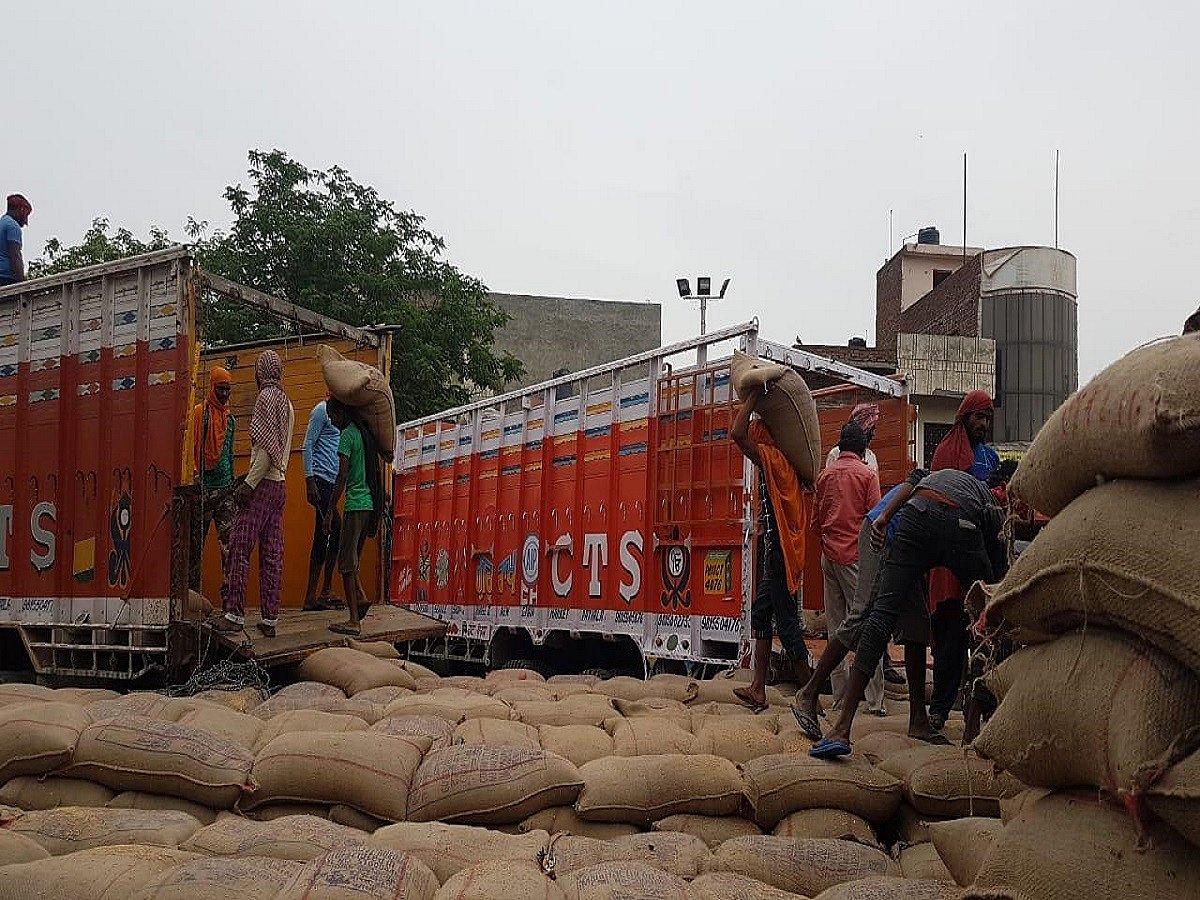 About 61 % of procured wheat lifted, says Patiala Deputy Commissioner