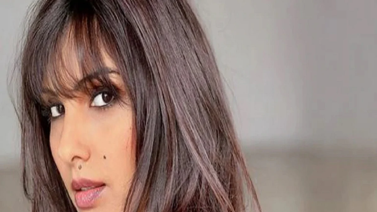 Somy Ali (File Photo)