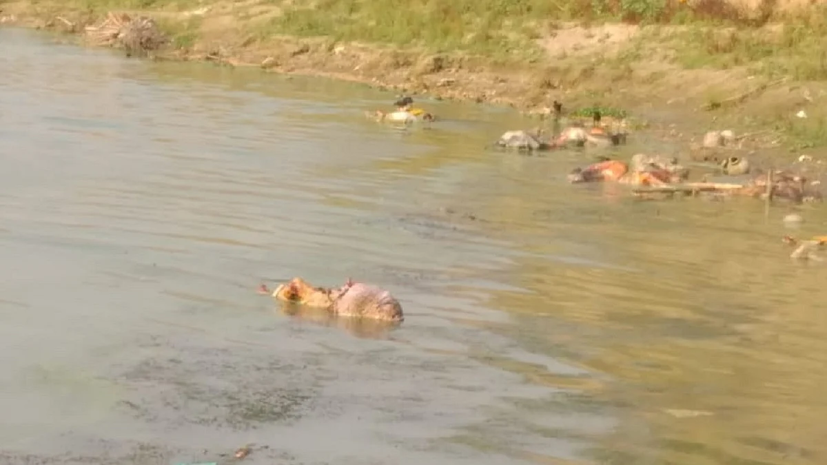 Bodies floating in river Ganga (Photo Courtesy: IANS)