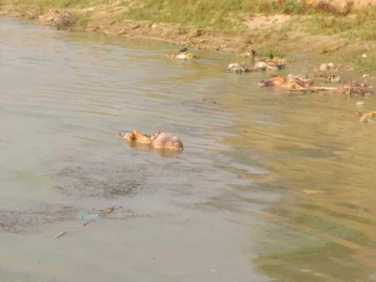 B-Town reacts with shock over dead bodies floating in Ganga