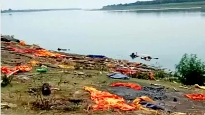 Bihar: After Buxar, bodies now found floating in Ganga in Patna, RJD leader Lalu Yadav lashes out at govt