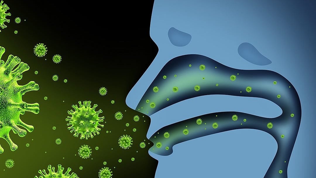 How does our body cope with stress of viral infections?