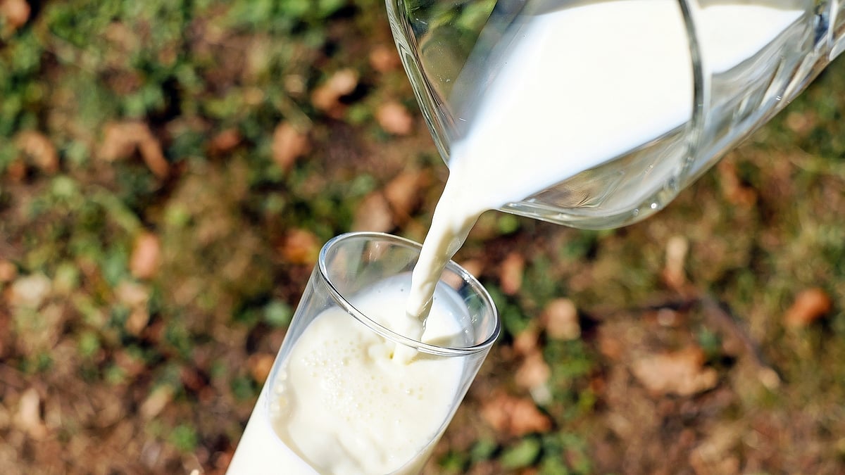 Dairies to log 5-6% growth this fiscal, but lag pre-Covid level: Crisil
