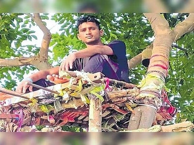Innovative! COVID positive Telangana youth spends 11 days on tree to save his family from being infected