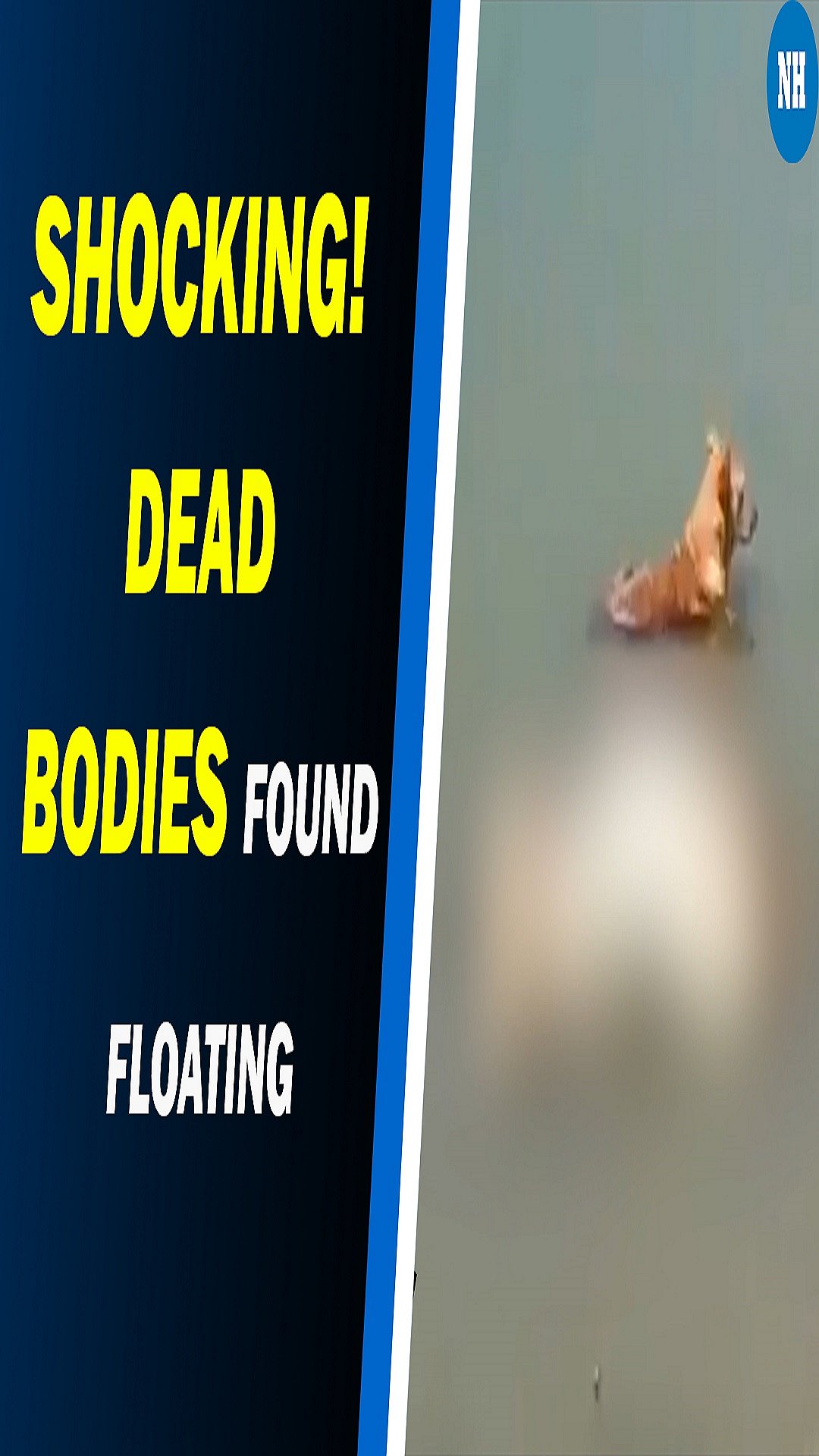 After Bihar's Buxar, bodies found floating in UP's Ghazipur 