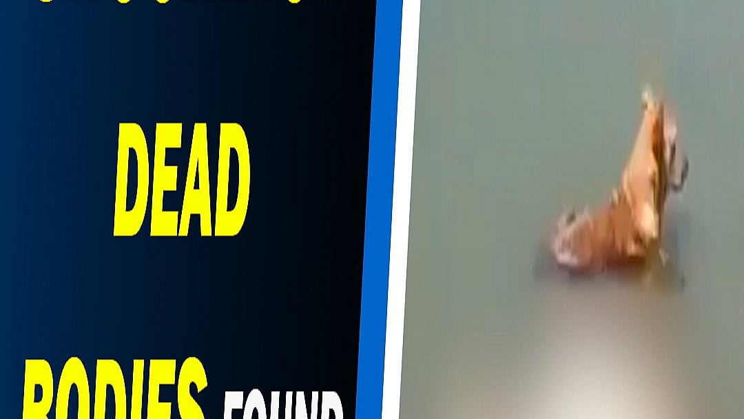 After Bihar's Buxar, bodies found floating in UP's Ghazipur 