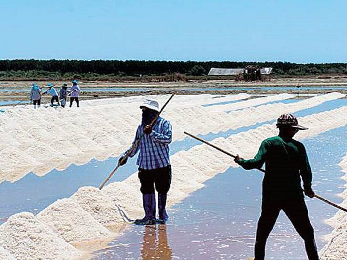 Gujarat: Salt worth Rs 10 crore washed away in flooding due to cyclone