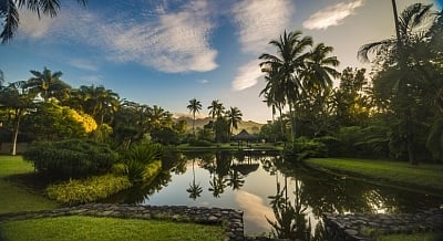 Will wellness tourism grow due to COVID-19?