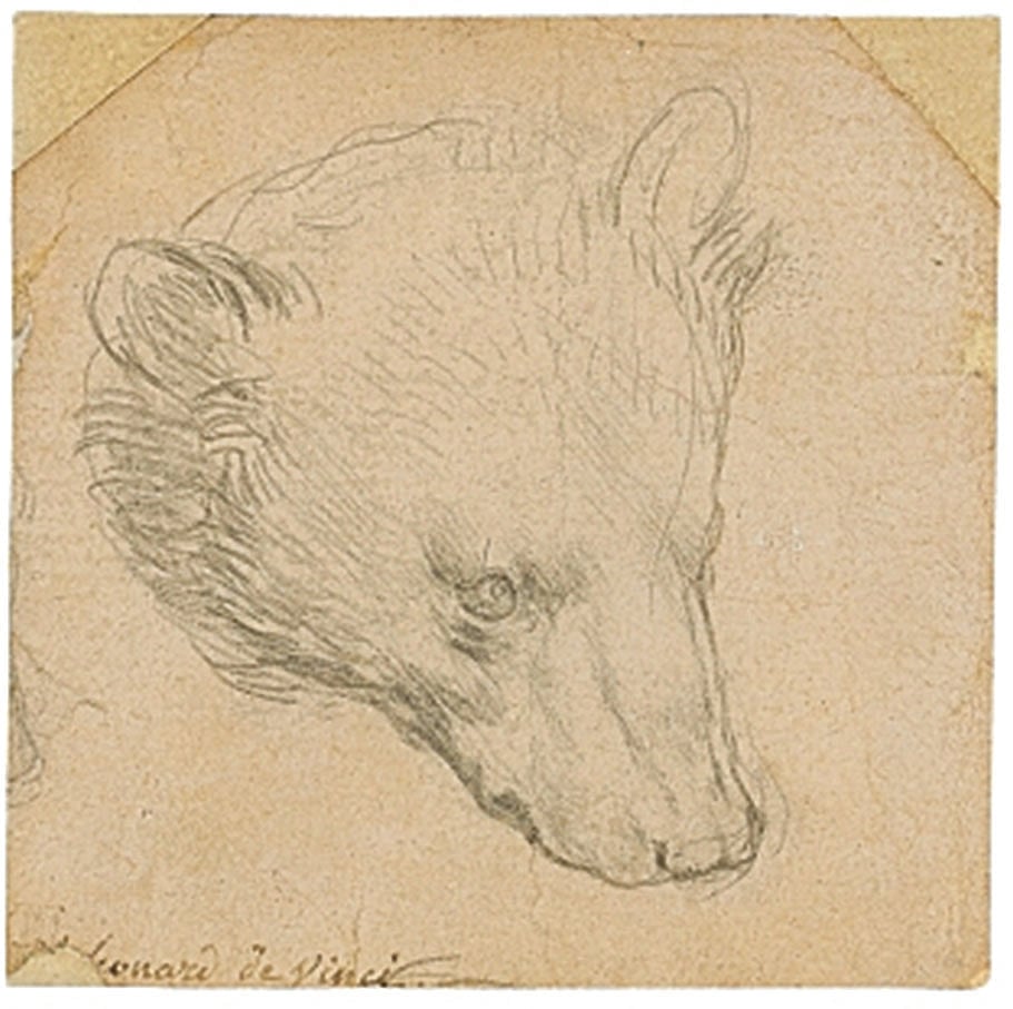 Leonardo drawing to fetch ‘minimum’ Rs 82 Crore