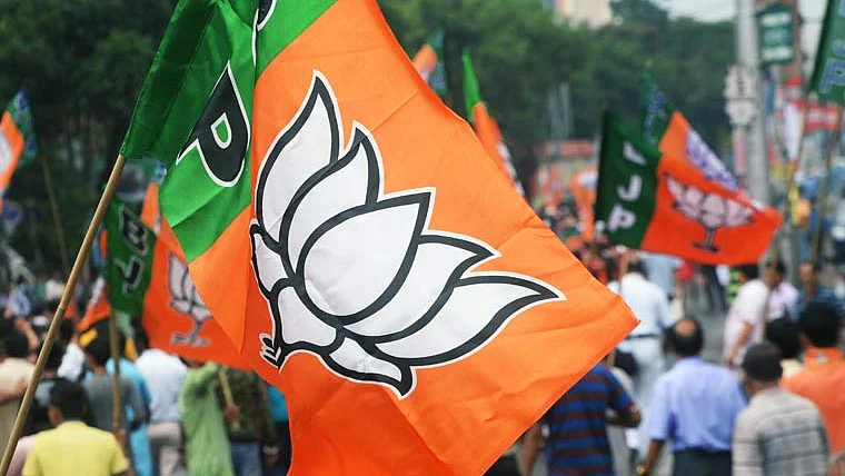Facing bijli-sadak-pani problem, diara' village decides to stop BJP leaders' entry