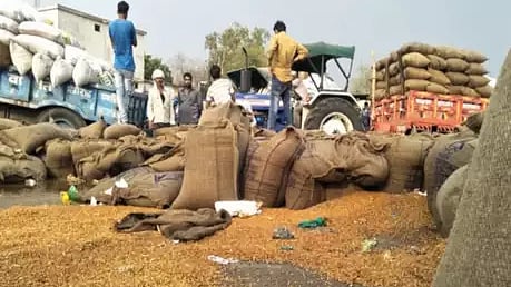 Modi government rubs salt on farmers’ wounds with meagre MSP hike: Punjab CM