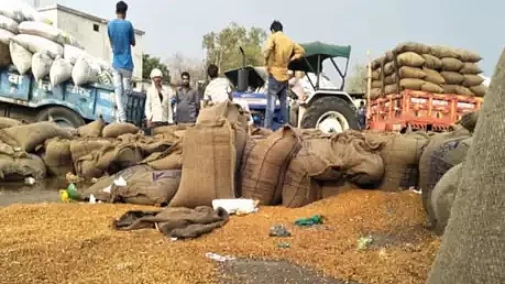 Modi government rubs salt on farmers’ wounds with meagre MSP hike: Punjab CM