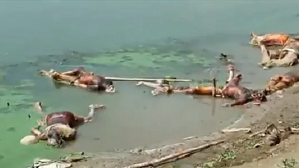 Dead bodies continue to be dumped into the Ganga in Bihar
