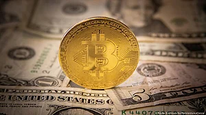 Crypto market crash poses many questions about digital currency