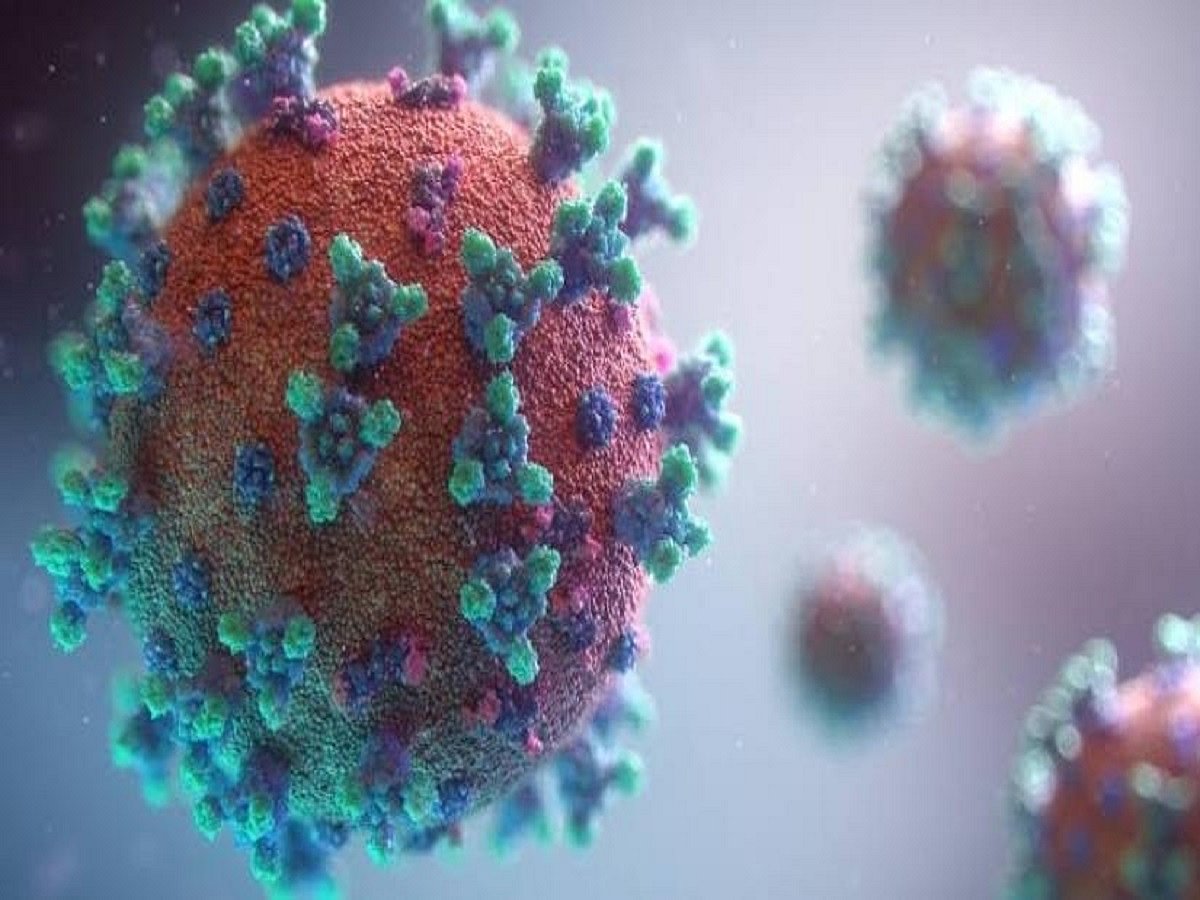 China, SE Asia 'hotspot' for new coronaviruses: Study