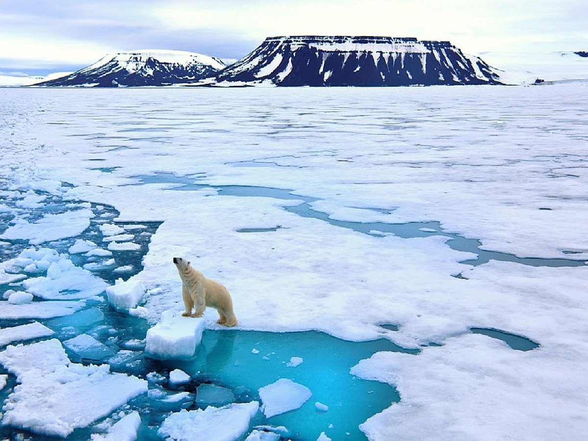 Climate crisis will have catastrophic impact in India: Study
