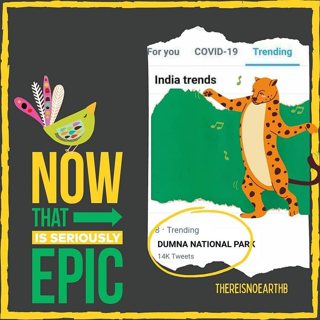 MP: Local activists launch movement to save Dumna forests, amplify support online 