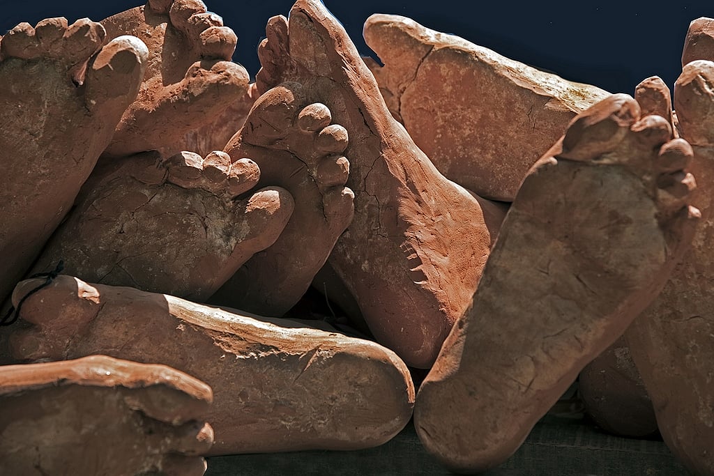 The online exhibition is on view from July 26-August 8 on the website of the India International Centre